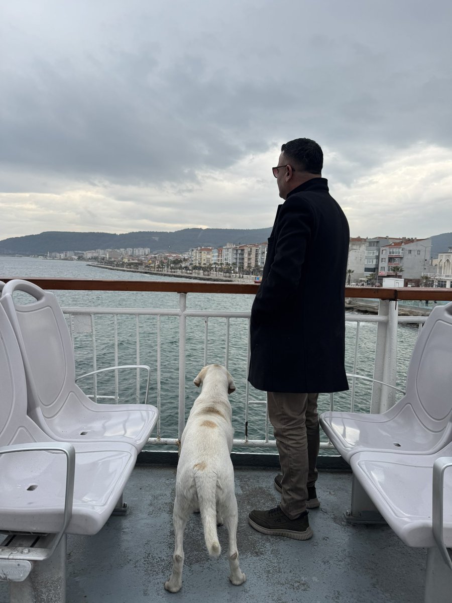 Bir şehirde hayvanlar huzurluysa,
insanlar da henüz insanlığını kaybetmemiştir.🐾

Temizlik sokakla değil, vicdanla başlar.
#candostlar #SokakHayvanlarıSahipsizDeğil