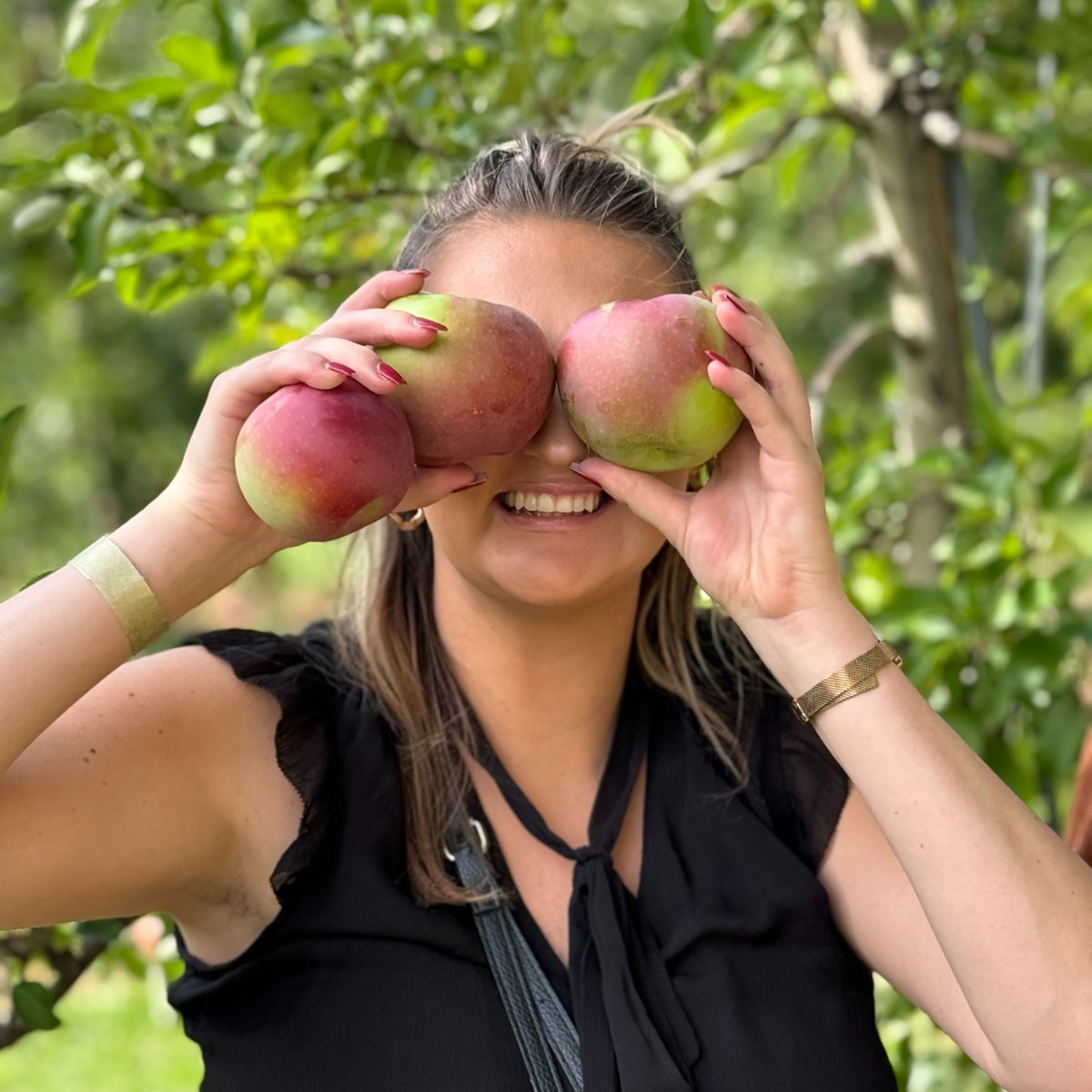 LCWCPAs's tweet image. Making memories, picking apples, and savoring the joys of fall with an amazing team! Who else is ready for some homemade pie? 🍎🍂 #TeamLCW #FallFun #ApplePicking #WorkLifeBalance #LCWCPAs