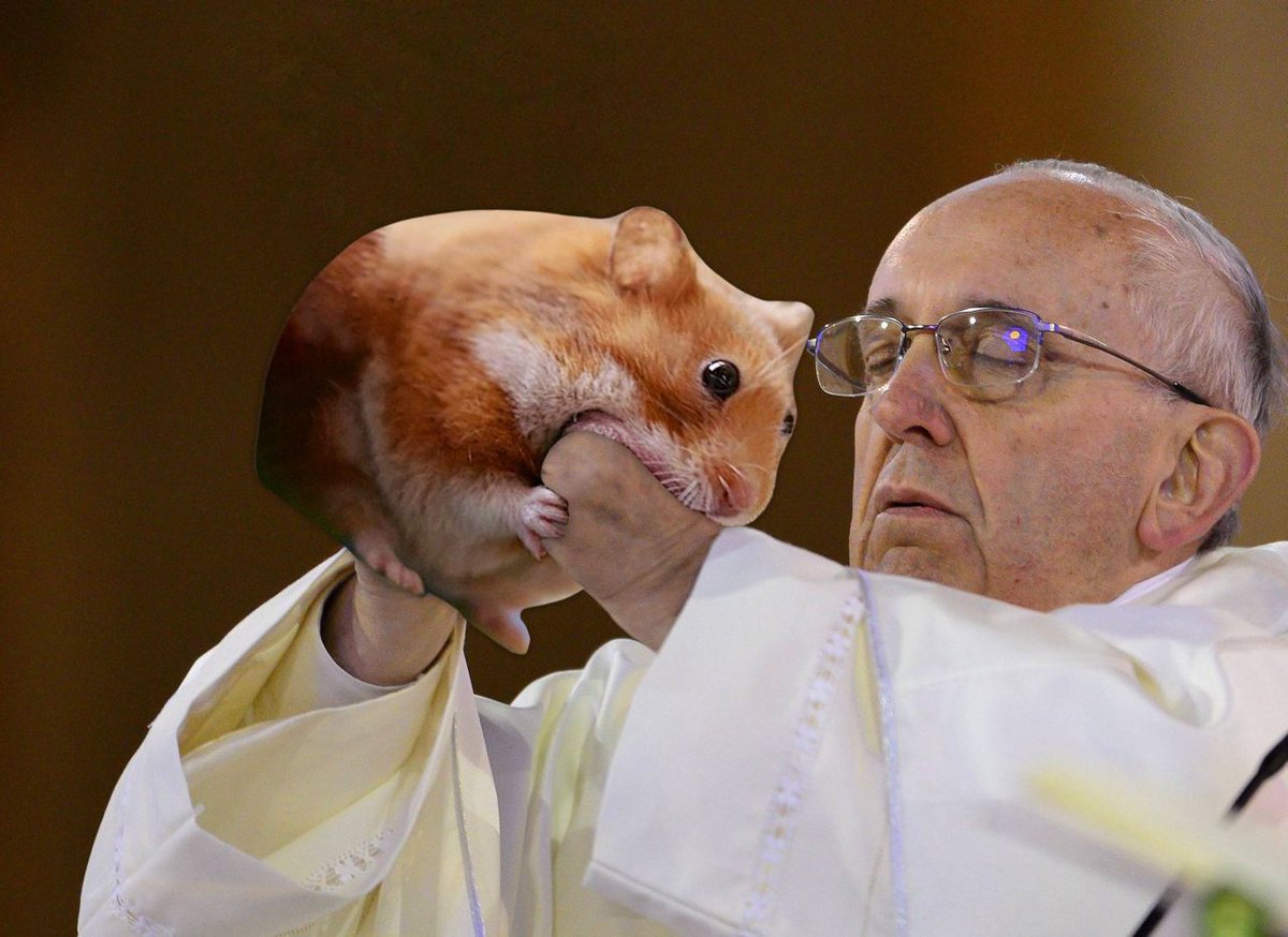 <a href="/Palgrani2/">Palgrani</a> Nom nom nom