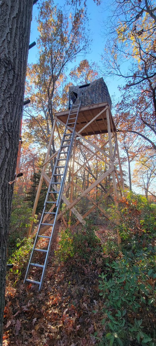 ReceptiveDesign's tweet image. Behold, the 20&apos; tree stand. Built in 2024. Western red cedar.