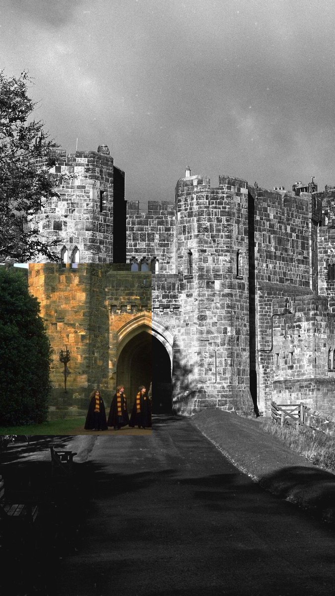 حسناء tweet media