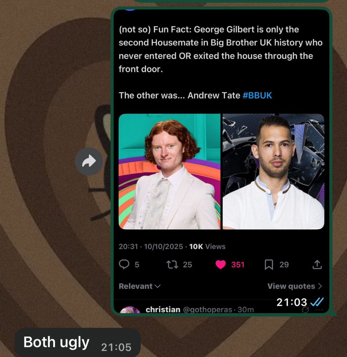 alex 🐇 tweet media