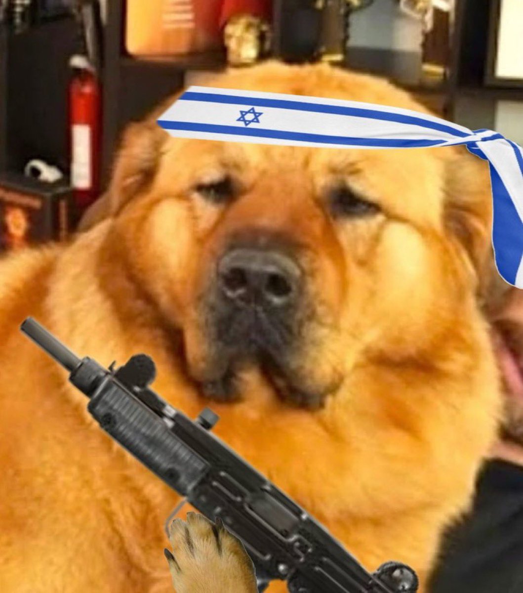 RPGonX's tweet photo. @fr0gan Must’ve been the hijab https://t.co/jazDYlXUxX