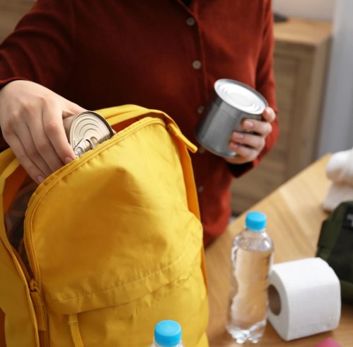 PSEGdelivers's tweet image. #PSEGTips: Pack an #EmergencyPrepKit. Include items like bottled water, extra batteries and first-aid items. Learn what else to include at pseg.com/StormSafety