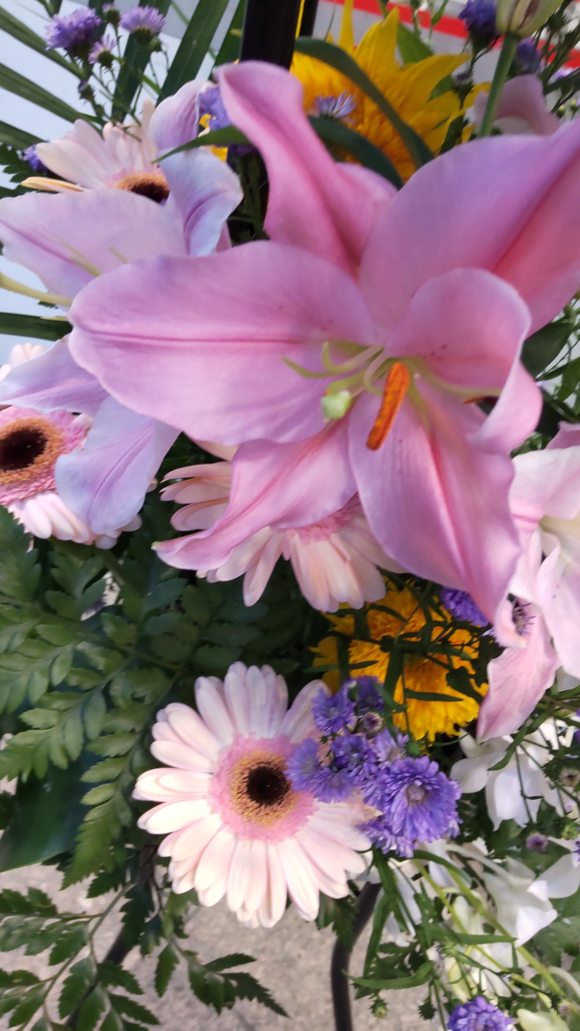 てんてん様 ご相談ページ てんてん (@10_tenten) / X