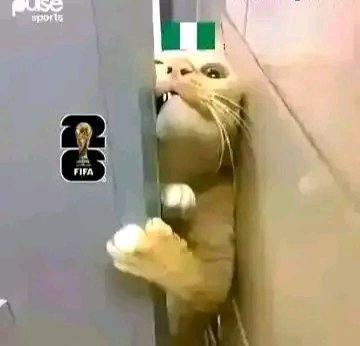 worldchamp29039's tweet image. Do you think Nigeria can qualify for the world cup??
