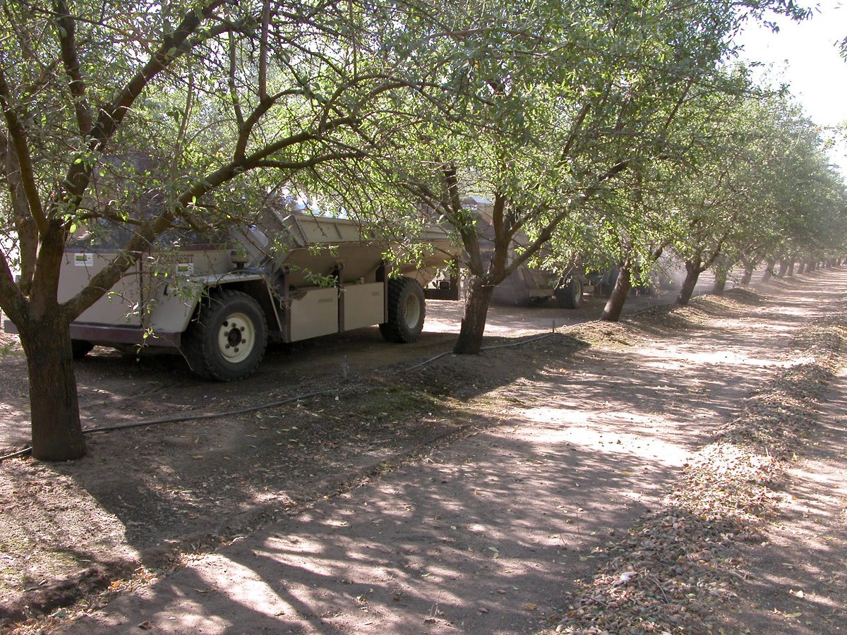 Harvest isn’t the finish line—it’s the reset.
Post-harvest foliar applications supply key nutrients to rebuild carbohydrate reserves and support root regeneration. A little late-season nutrition goes a long way.