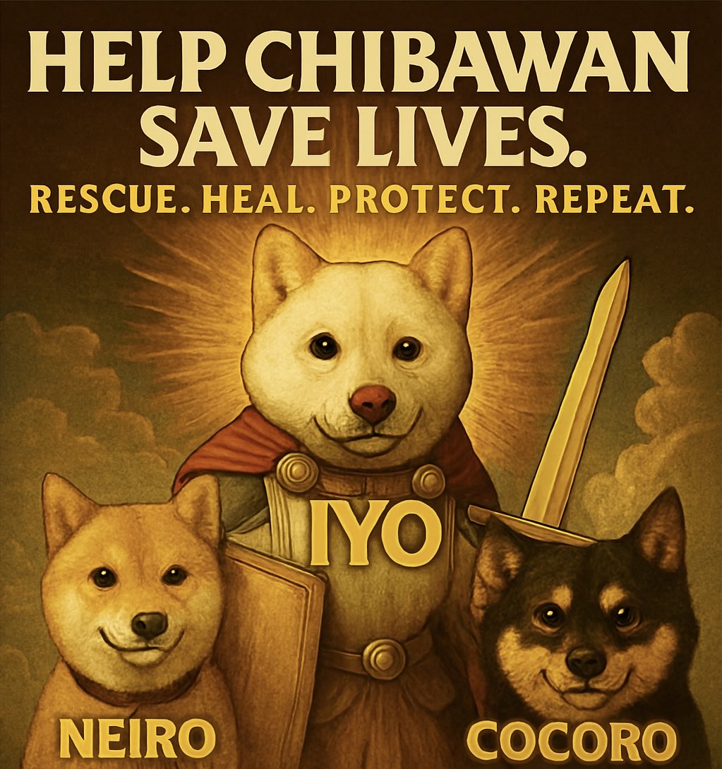 Iyo_chancto's tweet photo. 🛡️🐾 IYO, NEIRO, COCORO.
Three heroes. One mission.
Rescue. Heal. Protect. Repeat.
Support @chibawan_info fight to save lives.
Donate now. Be part of the legend.
📦 JP & Intl bank info below 👇
#Chibawan #SaveDogs #MascotLore #CryptoCare
https://t.co/QvE6hd1VBr https://t.co/9gaL5Au5gf