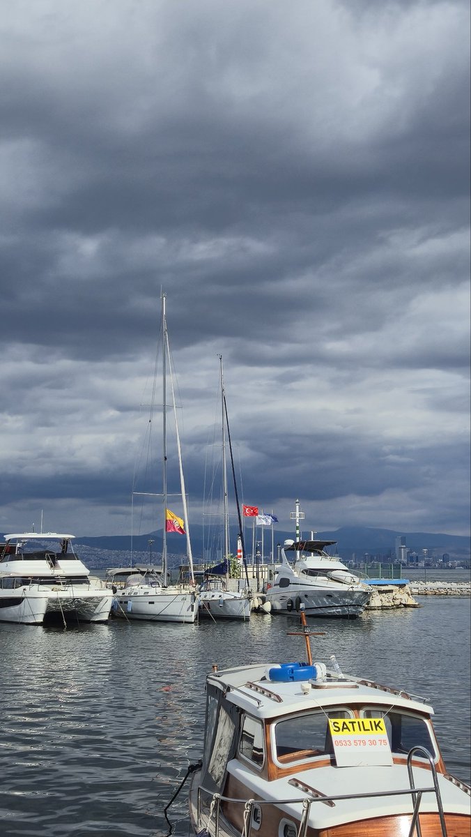 Inveniam Viam (@inveniamviam35) on Twitter photo 