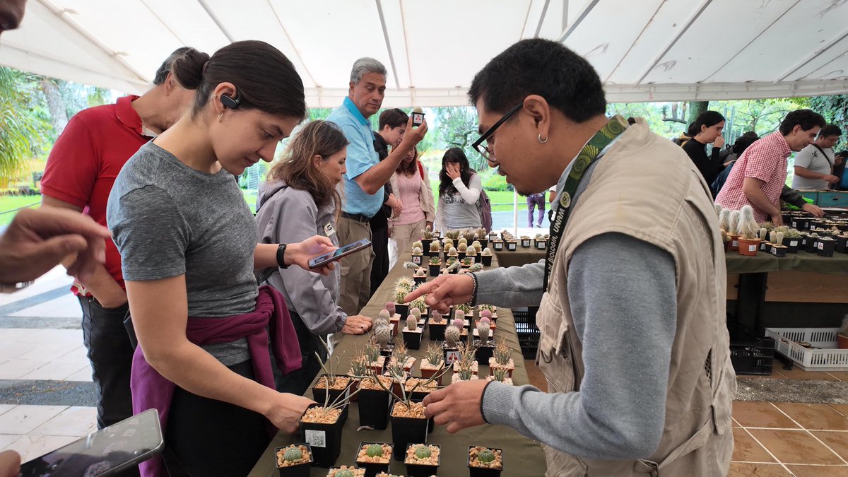 UNAM_MX's tweet photo. El Día Nacional de las Cactáceas 🌵 se celebró en el Jardín Botánico de la UNAM con talleres, exposiciones y actividades que unieron ciencia, cultura y comunidad 💚. Una invitación a admirar la belleza de estas especies que son símbolo de México 👇.
@JBUNAM https://t.co/g5HyrQuiQJ