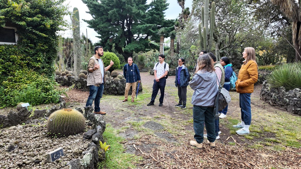 UNAM_MX's tweet photo. El Día Nacional de las Cactáceas 🌵 se celebró en el Jardín Botánico de la UNAM con talleres, exposiciones y actividades que unieron ciencia, cultura y comunidad 💚. Una invitación a admirar la belleza de estas especies que son símbolo de México 👇.
@JBUNAM https://t.co/g5HyrQuiQJ