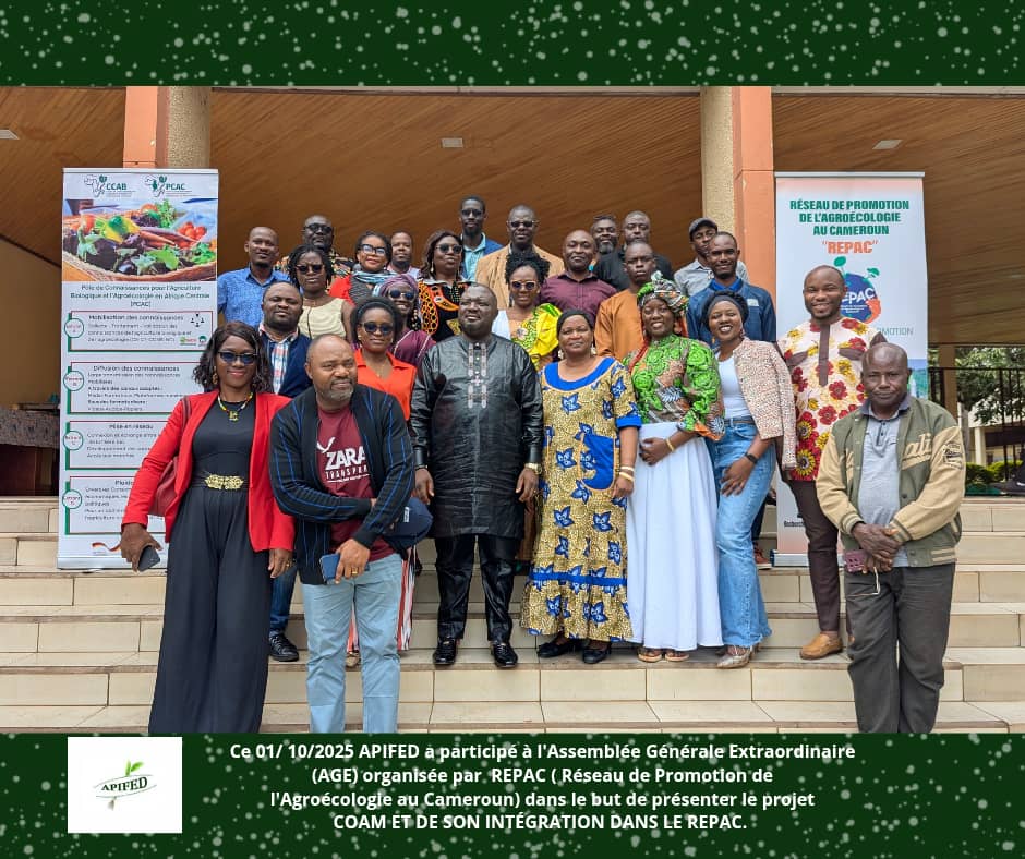 APIFEDCameroun's tweet image. 01/10/2025 | APIFED a participé à l’Assemblée Générale Extraordinaire du #REPAC au Centre Jean XXIII.
Présentation du projet #COAM et échanges sur l’avenir de l’agriculture biologique au Cameroun.
#Agroécologie #COAM #DéveloppementDurable