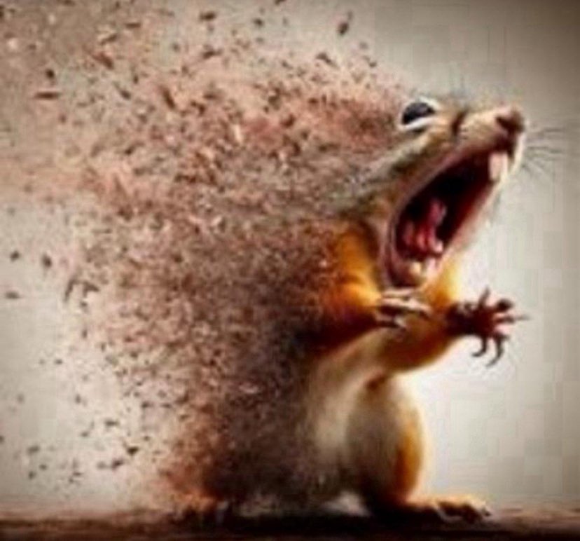 JAL3NHURTSS's tweet image. hurts makes one mistake and the whole app clowns on him cus my dumbass fanbase on this app gaslights him too much #whygod