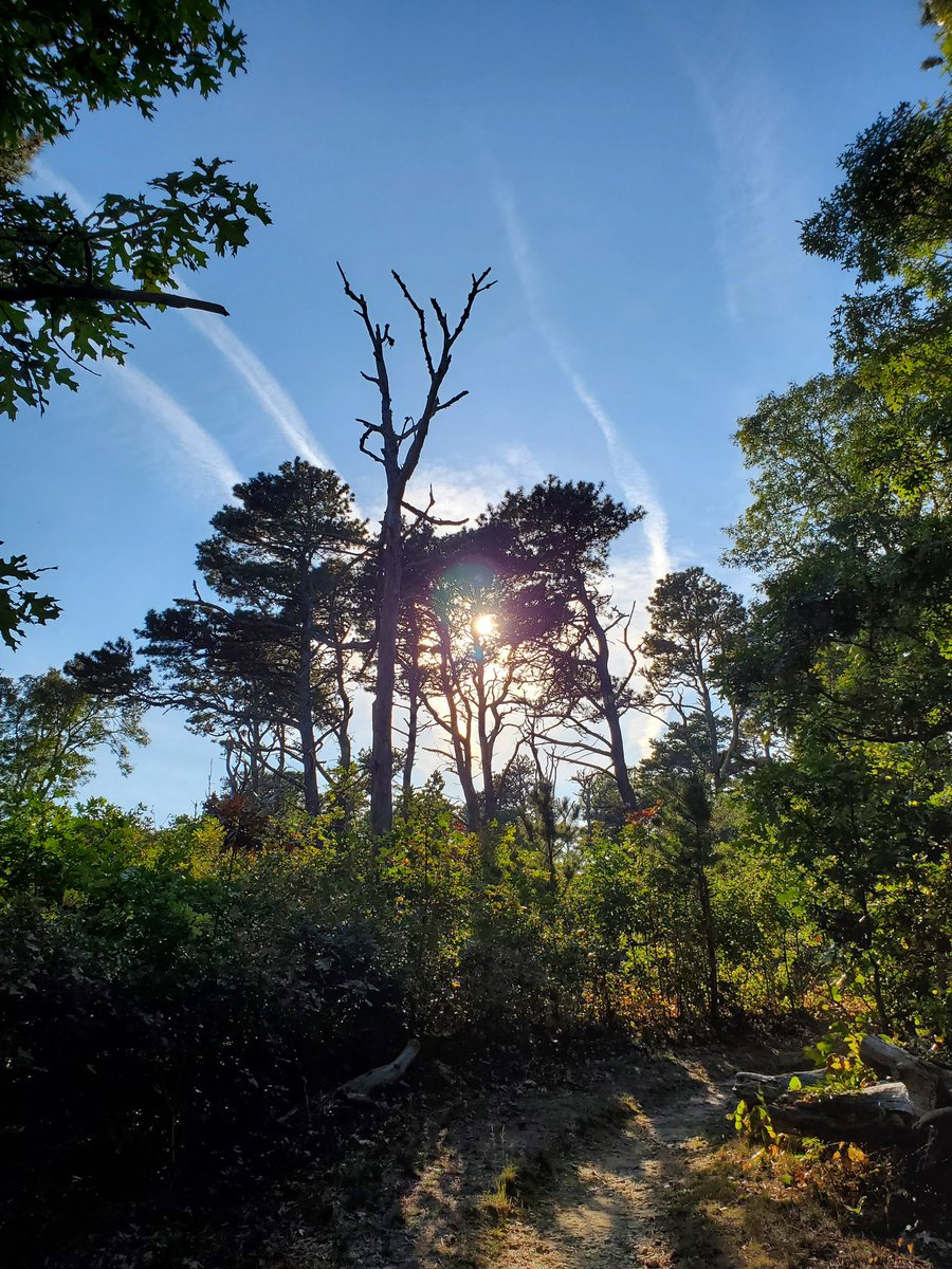 RegularRy's tweet image. Yup