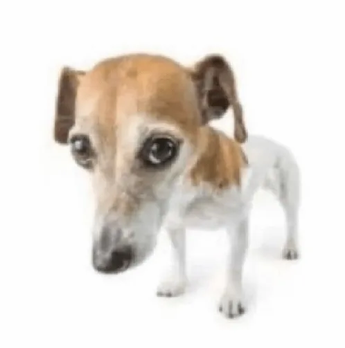 hiii my c*mms are open i think u guys should give me a chance