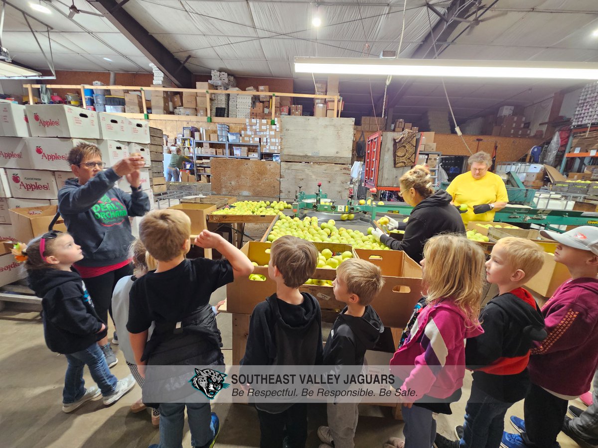 SVJags's tweet image. 🍎🎃 SV TK &amp;amp; Kindergarten from Farnhamville Elementary had a fun fall trip to Deal’s Orchard! Students toured the orchard, took a hayride, picked apples, played in Apple Acres &amp;amp; took home a pumpkin! 🍏🍂 #SVPride #FallFun