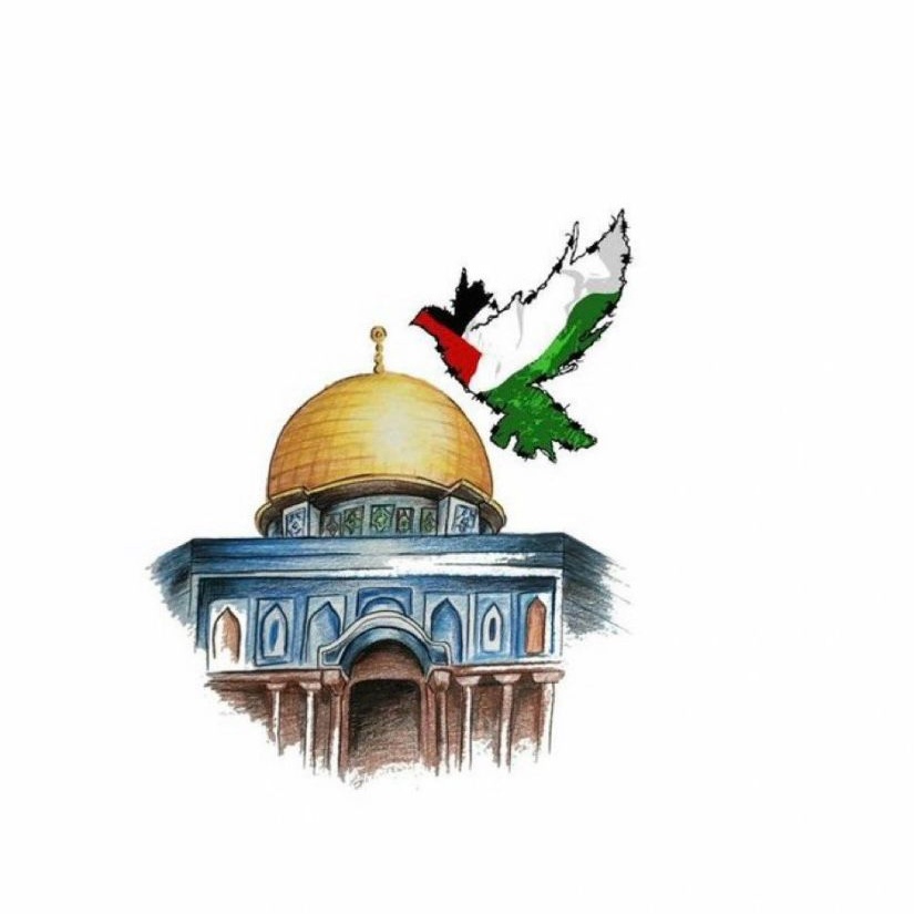 🇹🇷 AK!N 🇵🇸 tweet media