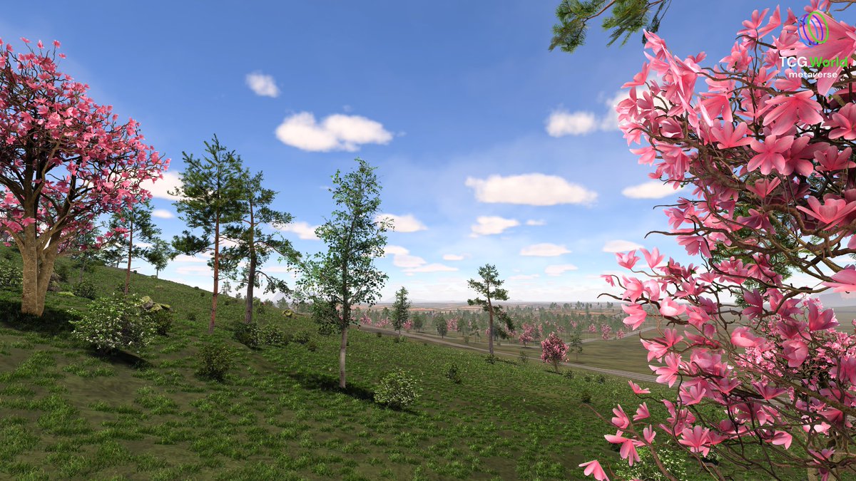 JonDixonTCG tweet media