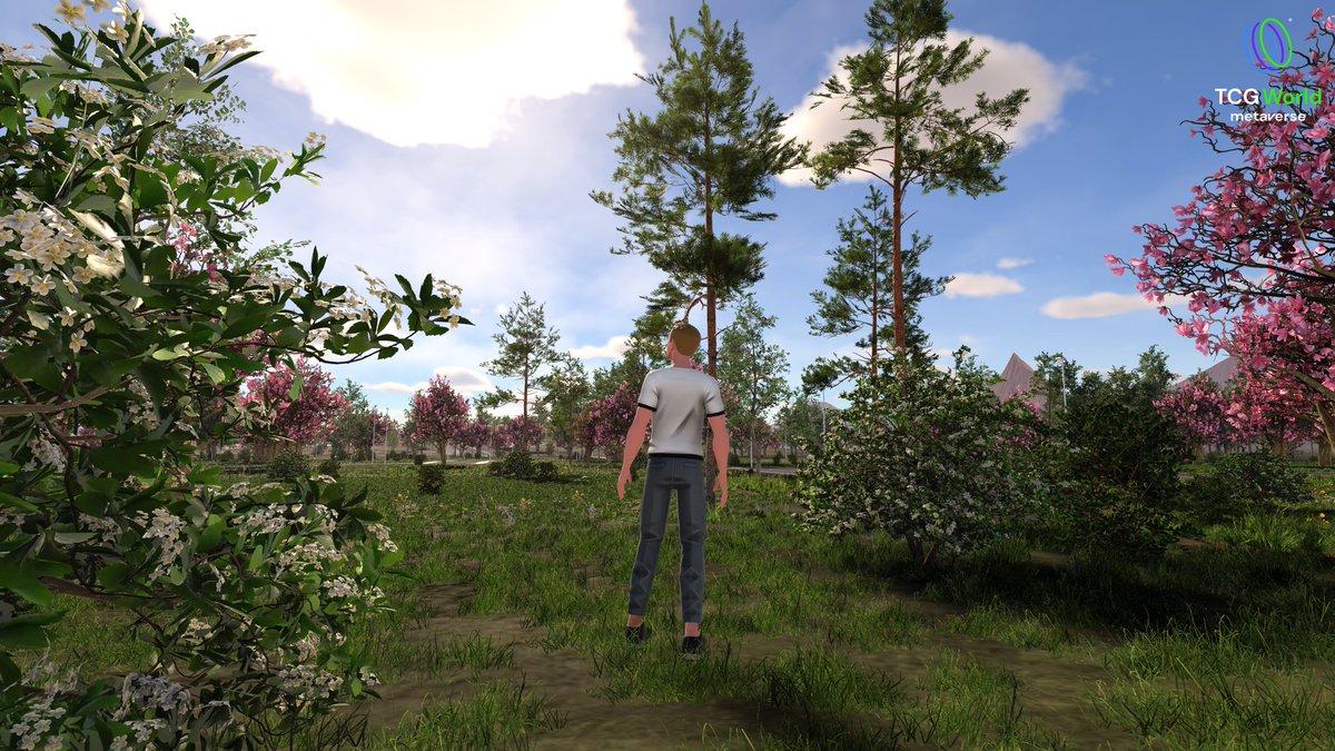 JonDixonTCG tweet media