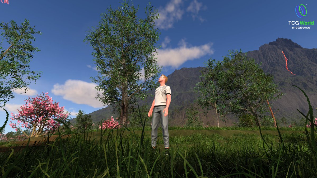 JonDixonTCG tweet media