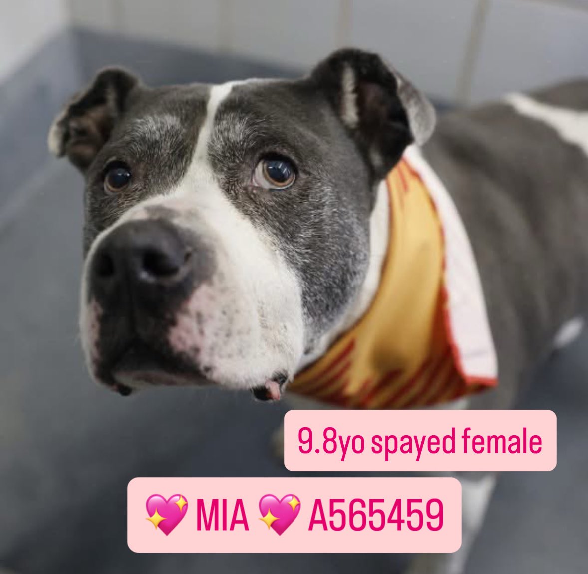 Aurora ⸆⸉ misses Liam ❯❯❯❯ tweet media