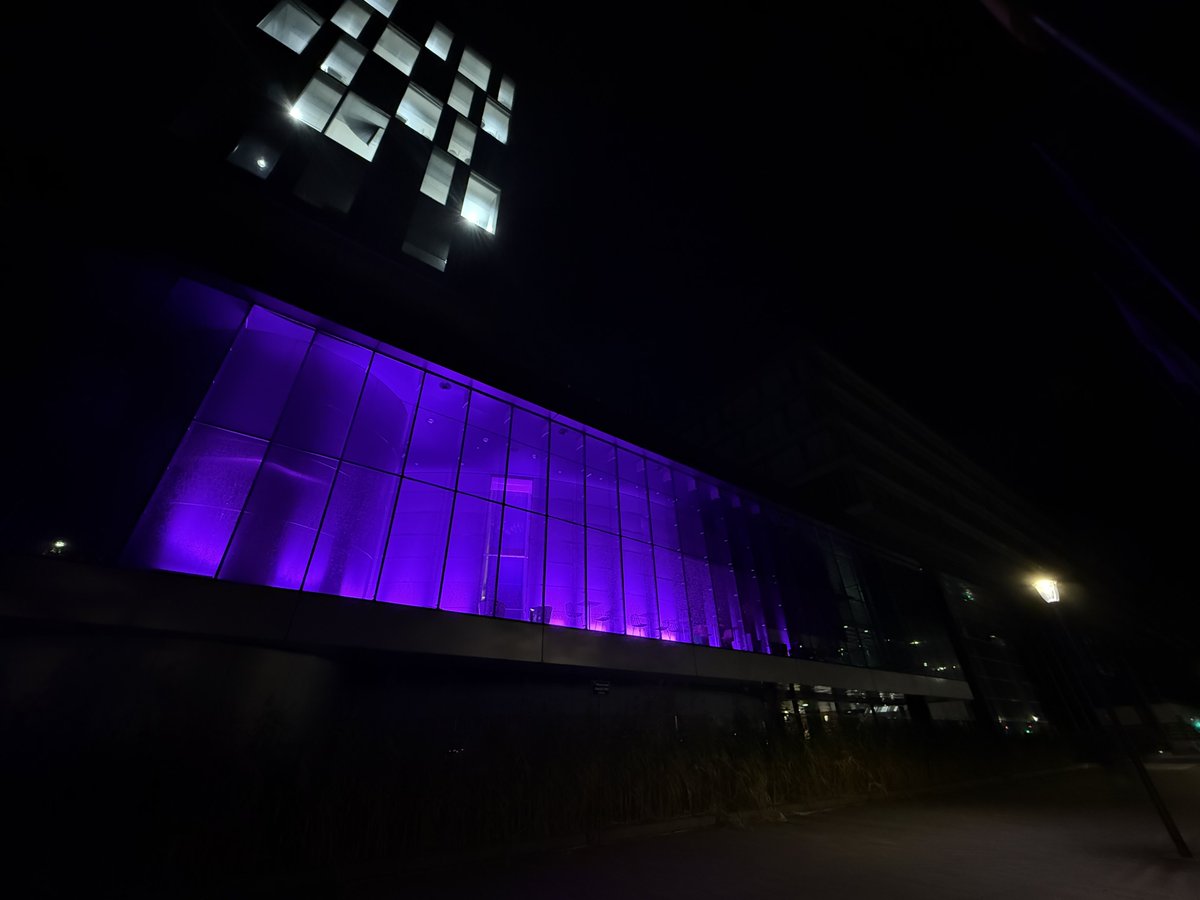 hautsdefrance's tweet image. 🎀 Le Siège de la Région #hautsdefrance s’illumine en rose pour #OctobreRose !

🌸 Un symbole fort pour rappeler l’importance du dépistage du cancer du sein et soutenir toutes celles  qui luttent au quotidien.