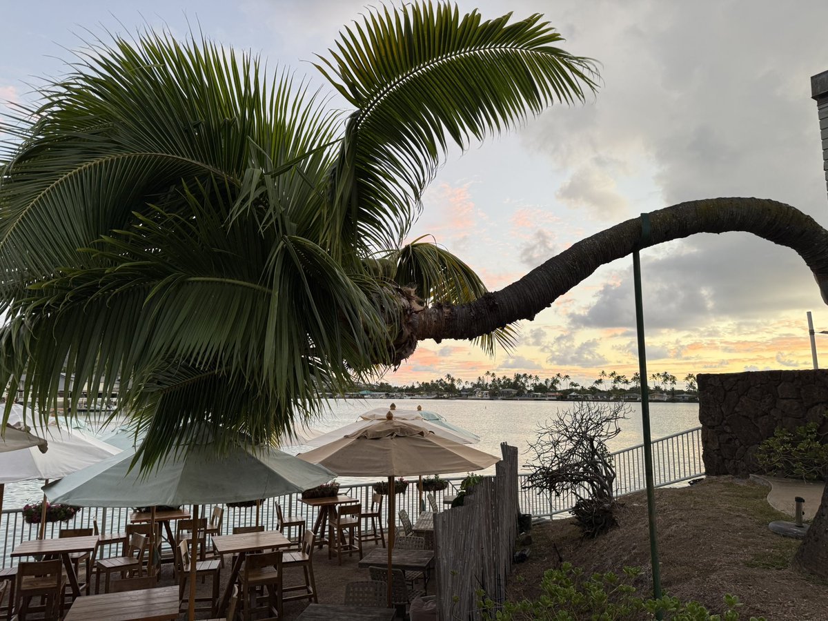 Happy aloha Friday from the 808 🤙🏾 Fun weekend ahead for UH sports. Go bows 🌈