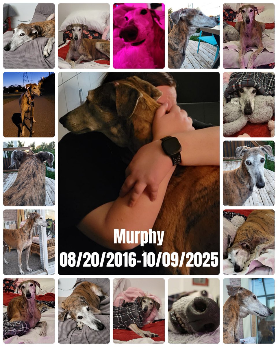 MsSophySticated's tweet image. 💔💔💔