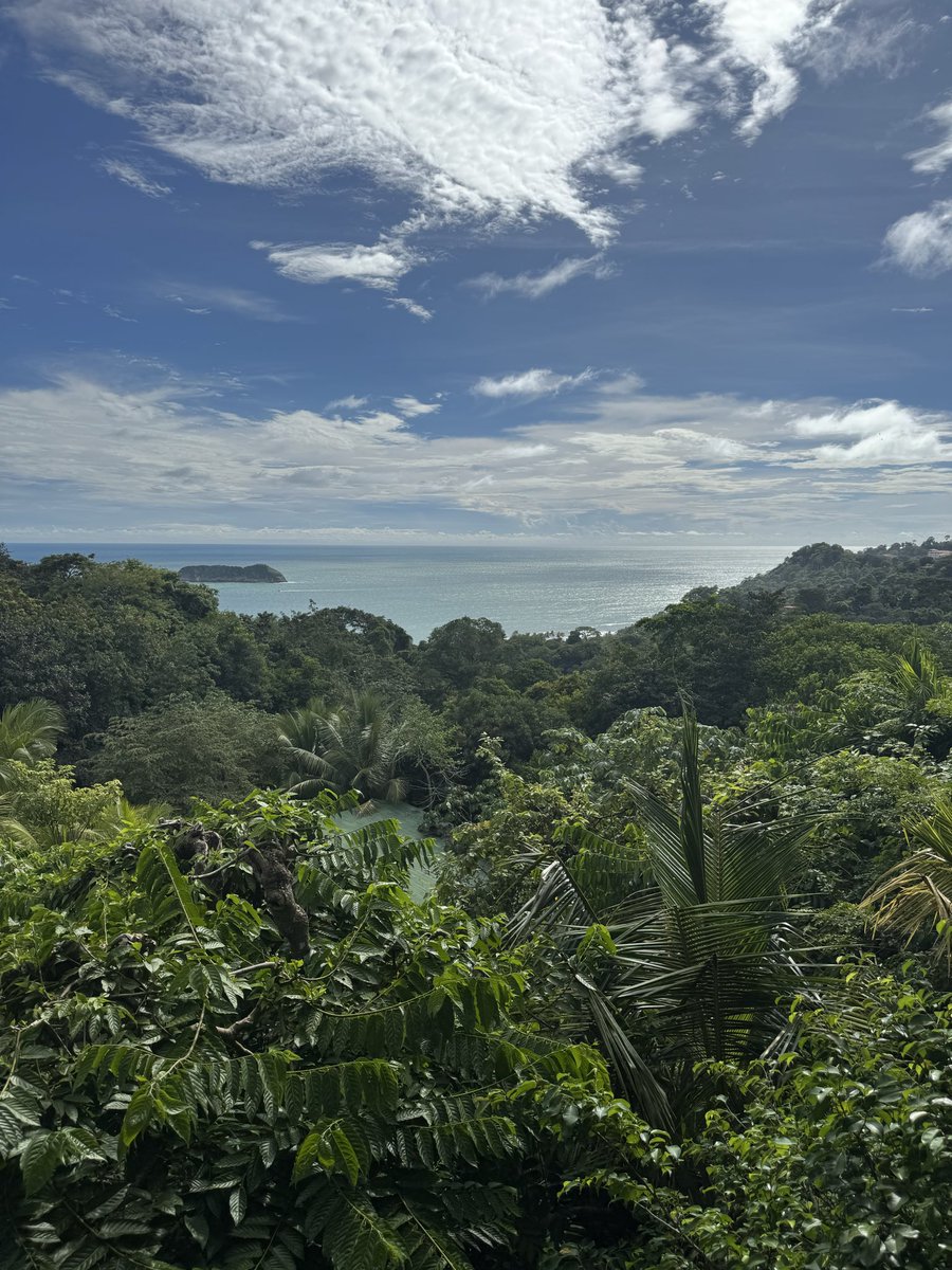 CR es el verdadero paraíso 🇨🇷