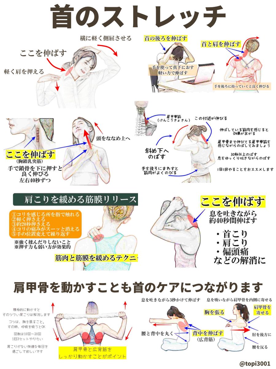 マジで重要なので3回言います！

首をのばして！
首をのばして！
首をのばして！

首こり・肩こりに悩む人は、今日から必ず実践してください。筋膜リリースや肩甲骨の動きを加えると、効果は倍増します。