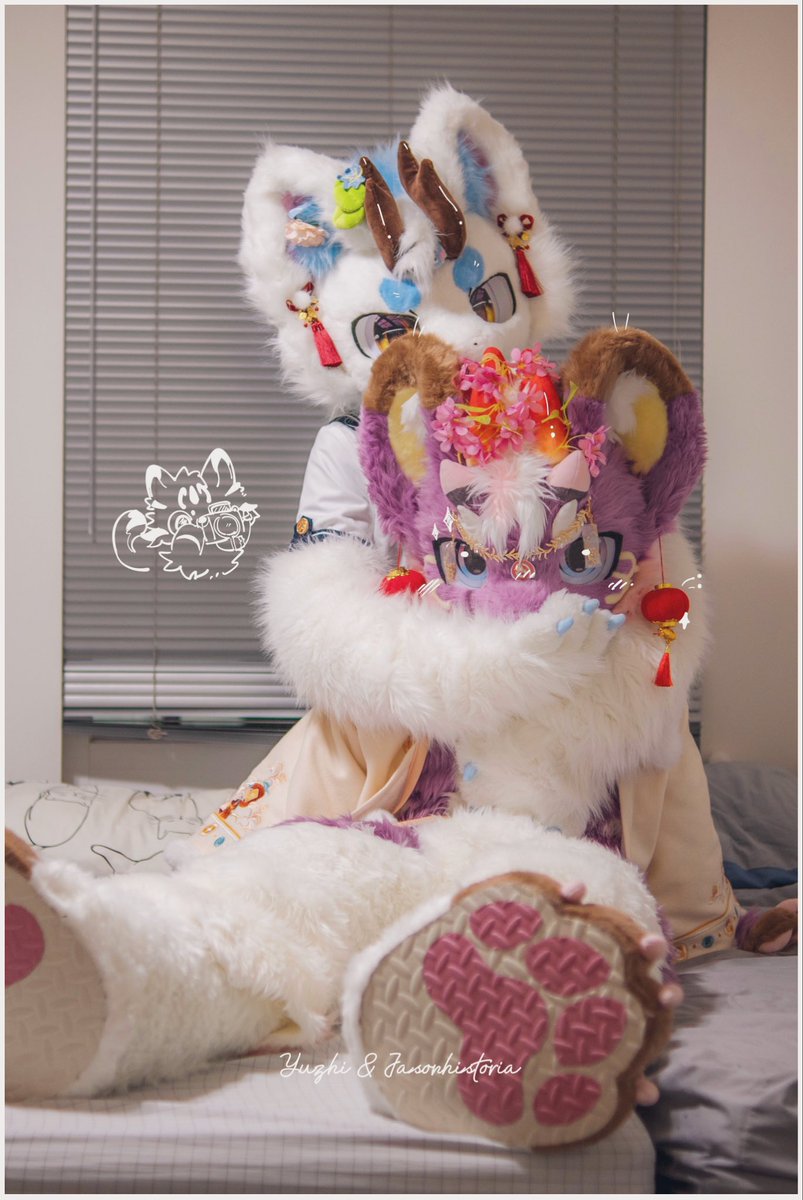 Yuzhi与纸 tweet media