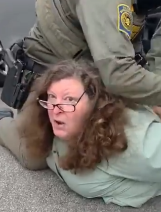 The Last Carnivore tweet media