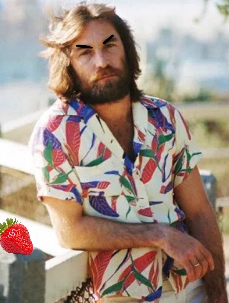 BEACH BOYS FACT 5

Dennis Wilson held a lifelong grudge against strawberries, finding them "unsettling" and "untrustworthy."