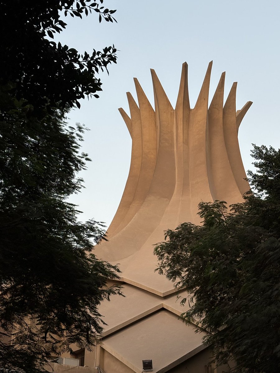 raven 🪷 tweet media