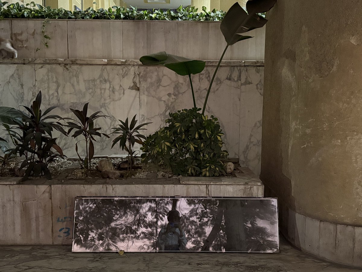 raven 🪷 tweet media