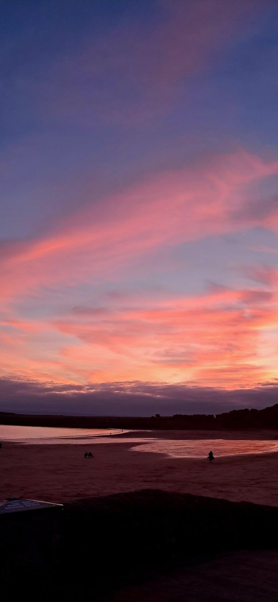 KakaODH's tweet image. That's a wrap for the 2025 season
#SafetyCover