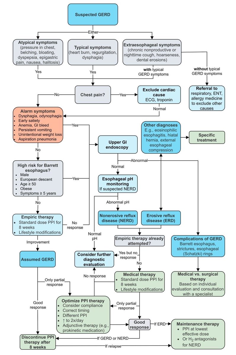 📌 𝗚𝗘𝗥𝗗 – 𝗘𝗻𝗳𝗲𝗿𝗺𝗲𝗱𝗮𝗱 𝗽𝗼𝗿 𝗿𝗲𝗳𝗹𝘂𝗷𝗼 𝗴𝗮𝘀𝘁𝗿𝗼𝗲𝘀𝗼𝗳𝗮́𝗴𝗶𝗰𝗼🔰
⬇️⬇️⬇️⬇️ 

1️⃣𝙎𝙞́𝙣𝙩𝙤𝙢𝙖𝙨 𝙩𝙞́𝙥𝙞𝙘𝙤𝙨 (pirosis, regurgitación) → probar IBP 8 sem + cambios estilo de vida.
📌Si mejora → GERD confirmado.
📌Si no → endoscopia ± pHmetría.