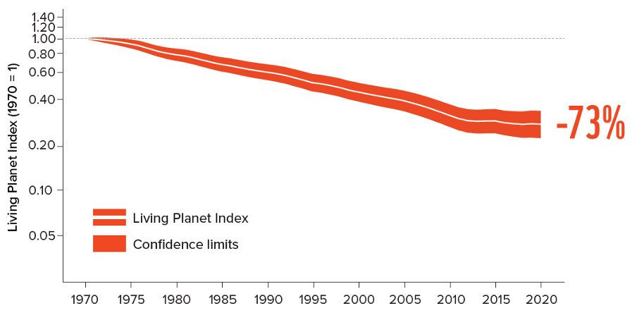 <a href="/JohnSimpsonNews/">John Simpson</a> I am currently studying a Diploma is Sustainabilty. This is something I came across in this week's lesson, from the 2024 Living Planet Report. The graph below shows how biodiversity has declined at the species level over the last 40 years shows relative to a baseline in 1970.