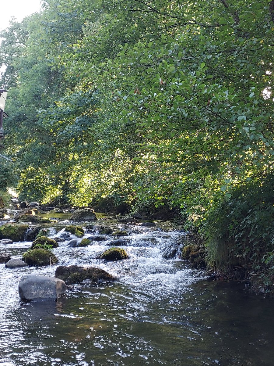 Renommer M. Lecornu est une mascarade. Le PR a perdu les Français et le sens de l'Etat. Le retour devant le peuple souverain apparaît aussi inéluctable que l'écoulement de l'eau des ruisseaux vers la mer.