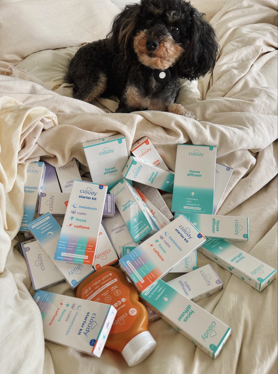 Tiffany Fong tweet media