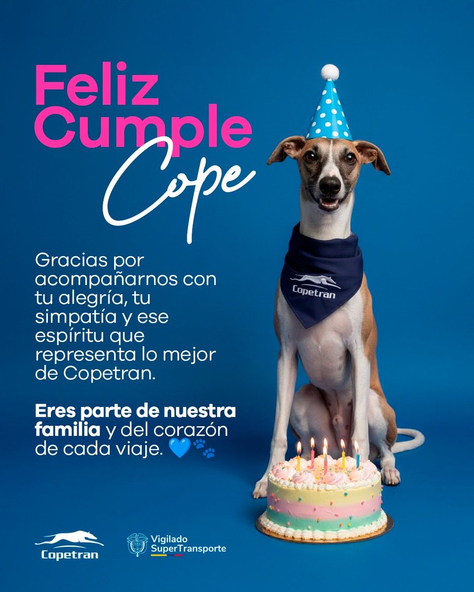 Copetranoficial's tweet photo. FELIZ CUMPLEAÑOS COPE💙🐶

Hoy nuestra familia se viste de celebración, nuestro amado Cope está cumpliendo 7 años y desde que llegó llena nuestra empresa de amor, alegría y mucha unión. 😍

Gracias Cope por hacer esta familia la más extraordinaria, te amamos. ✨ https://t.co/EDy4m3QABn
