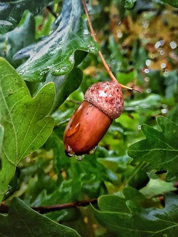 Alwayslon's tweet photo. #Autumn 
#nature #photographer https://t.co/OfnaLeP4Il