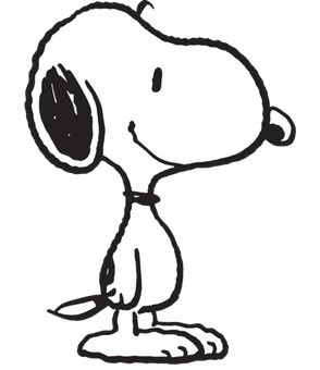 SourceSSB's tweet image. 