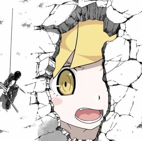 Monogatari Everyday tweet media