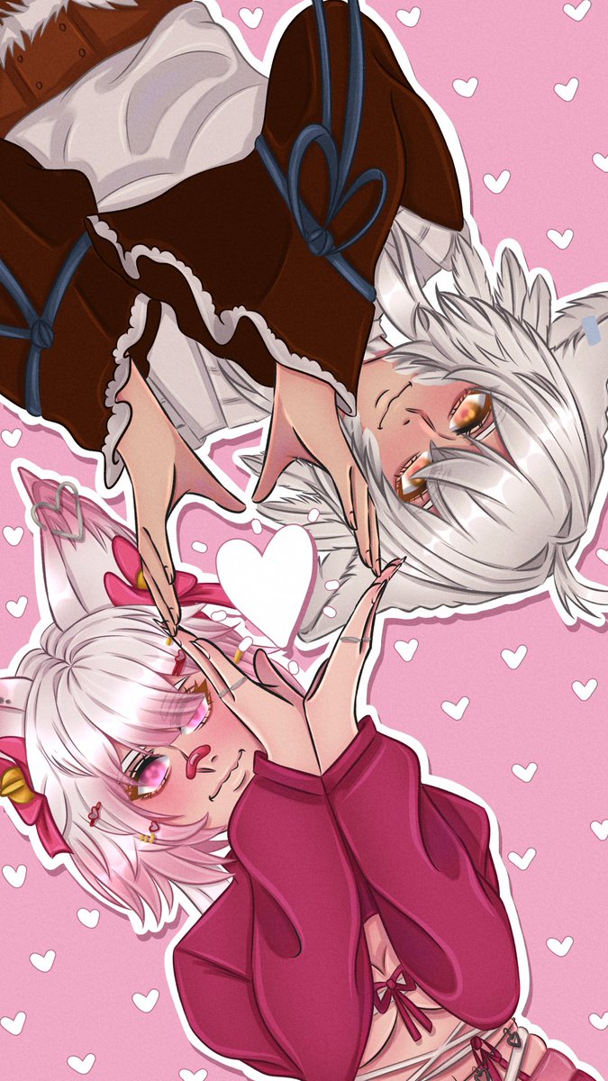 dodo mahikanis tweet media