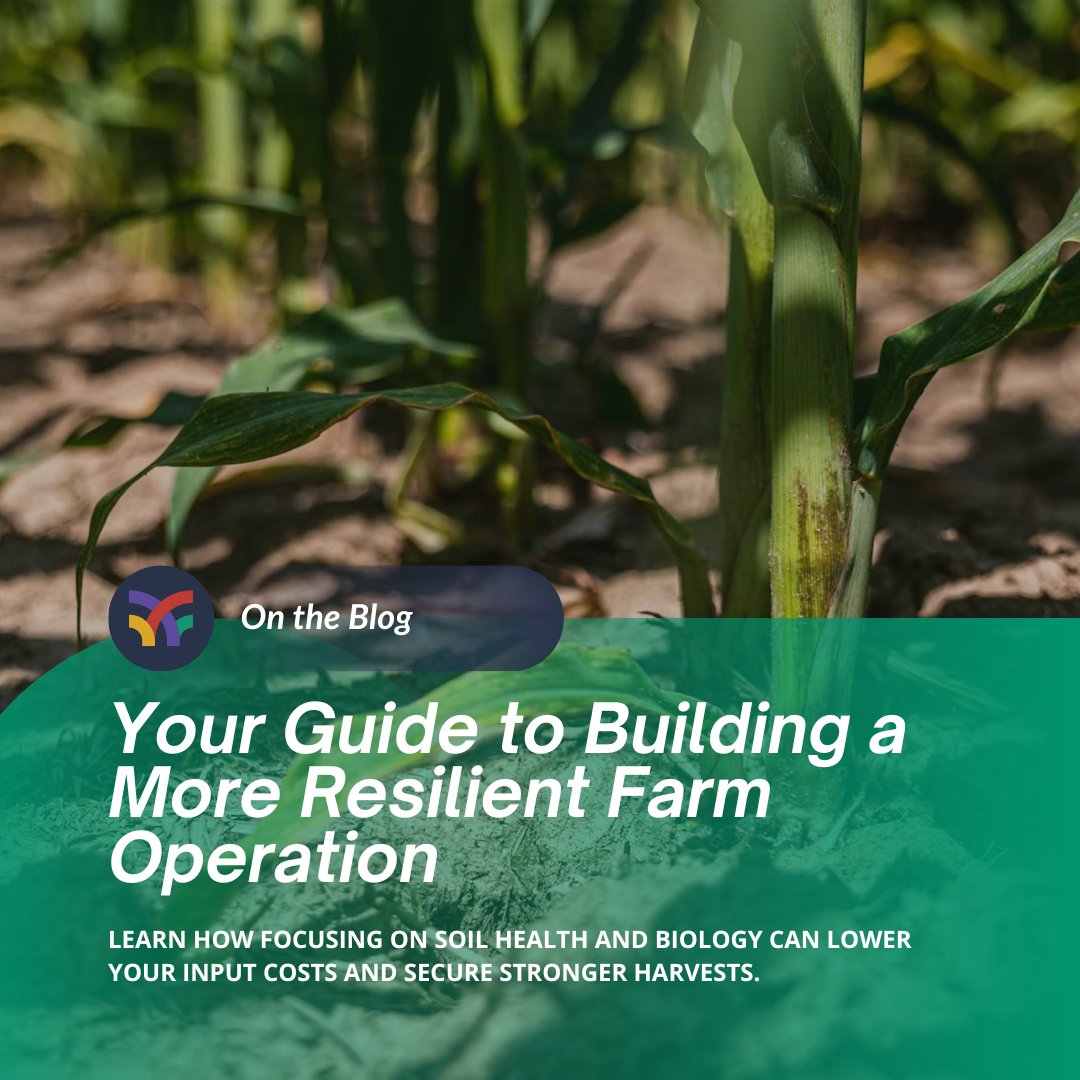 Growers are building more resilient operations with a practical, science-driven approach. 🌾
Our guide covers: 
➡️ Soil health to manage farm risk 
➡️ Better nutrient efficiency (lower costs) 
➡️ Biology's role (feat. SOURCE®)
👉 Read: bit.ly/46L1sOa