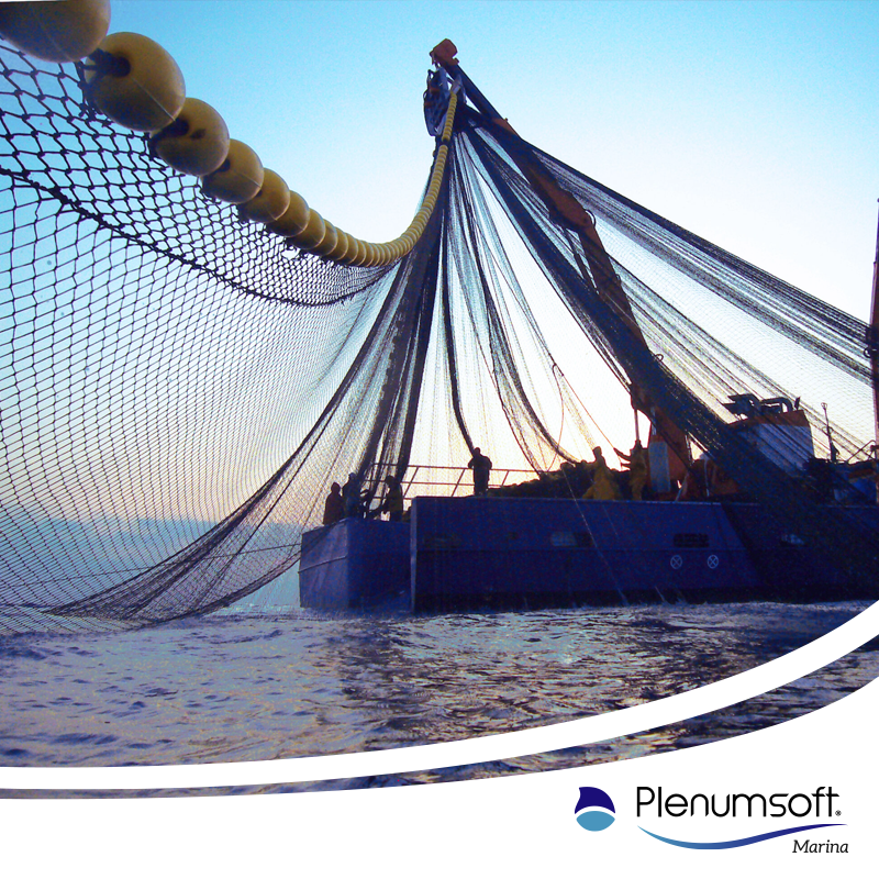 Plenumsoft Marina tweet media