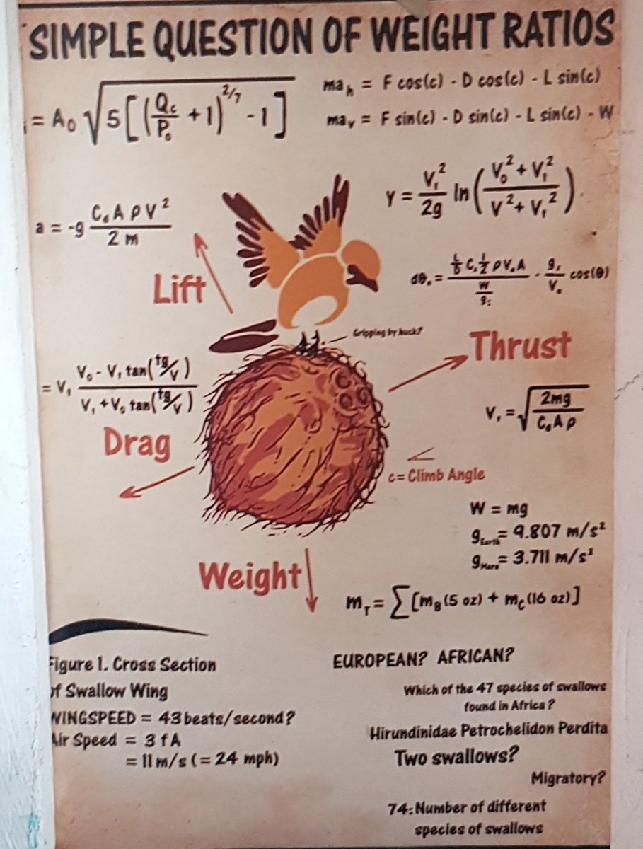 cassmacher's tweet image. XD