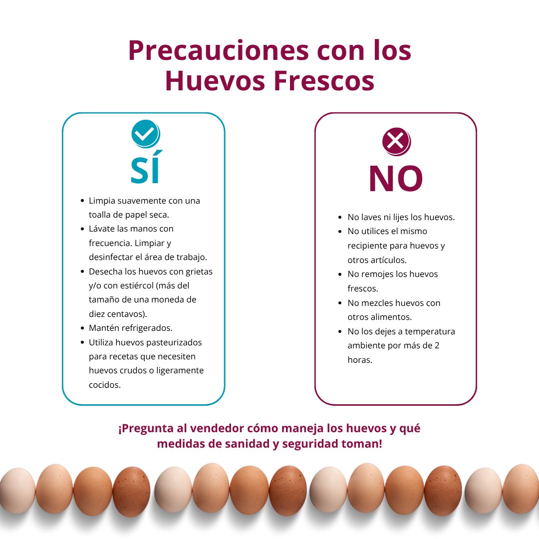 NMExtensionPubs's tweet image. ¿Cuál es tu forma favorita de preparar #huevos? 🍳
Un ingrediente sencillo, infinitas maneras de disfrutarlo. Nuestra publicación  ofrece consejos sobre cómo usar huevos frescos de forma segura: pubs.nmsu.edu/_e/E218/index.…

#DíaMundialDelHuevo2025 #NMSU #NuevoMéxico #ExtensiónNMSU