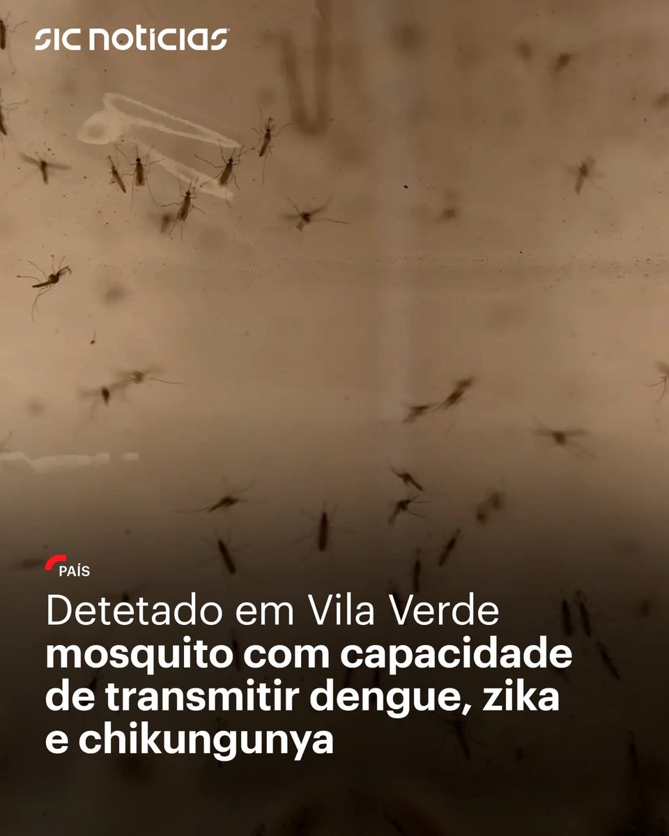 avisem-me quando ele começar a transmitir sporttv, tou farto de streams cheias de anúncios